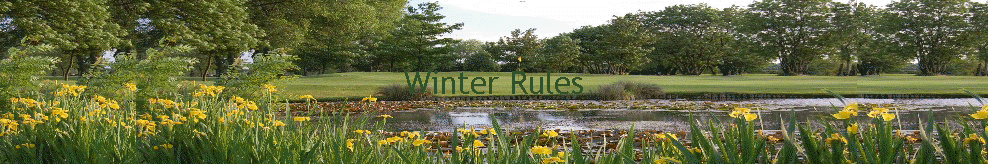 Winter Rules